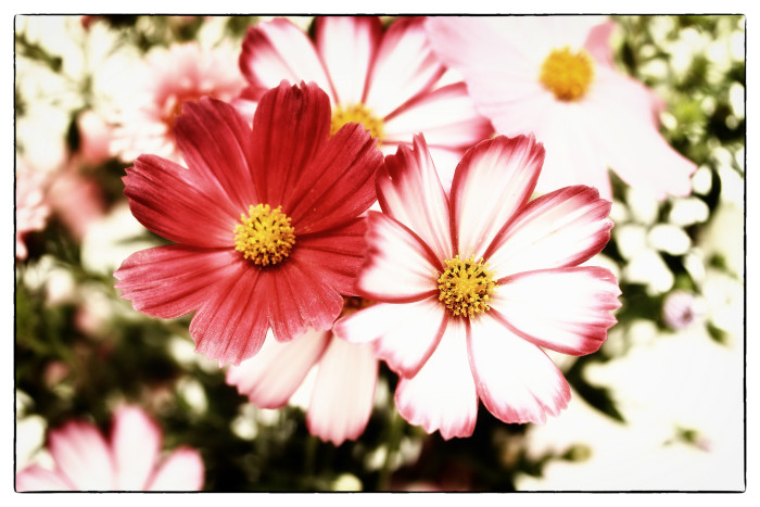 bb_bld_9823